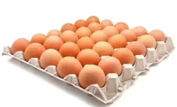 بريميوم بيض أحمر